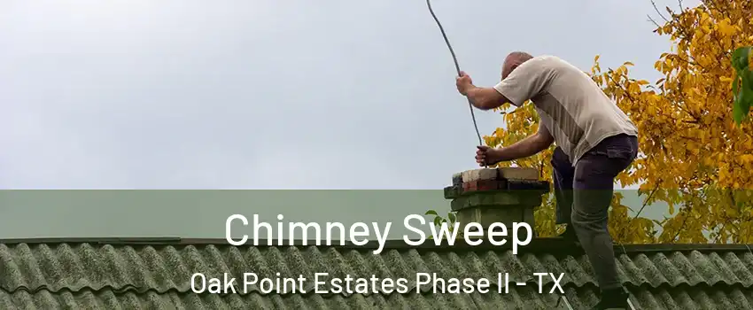 Chimney Sweep Oak Point Estates Phase II - TX