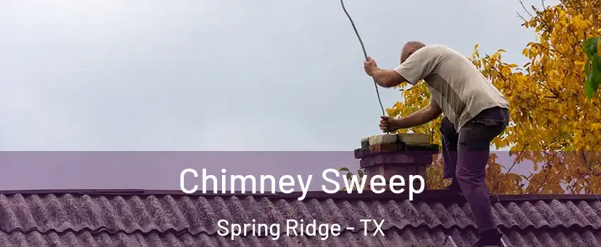 Chimney Sweep Spring Ridge - TX