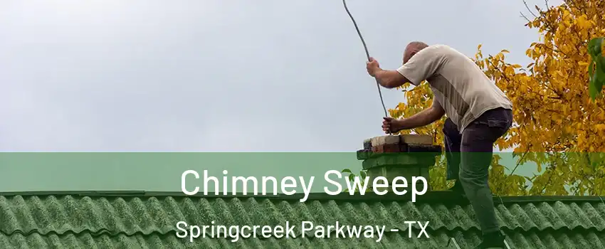Chimney Sweep Springcreek Parkway - TX