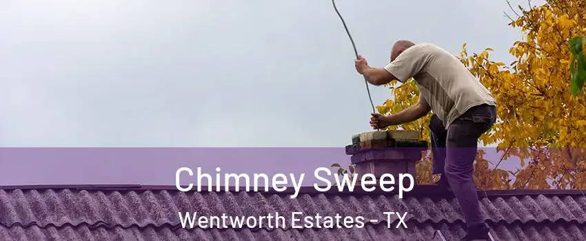 Chimney Sweep Wentworth Estates - TX