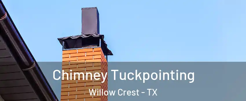 Chimney Tuckpointing Willow Crest - TX