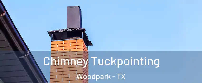 Chimney Tuckpointing Woodpark - TX