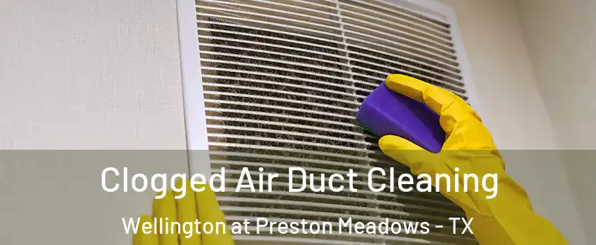 Clogged Air Duct Cleaning Wellington at Preston Meadows - TX