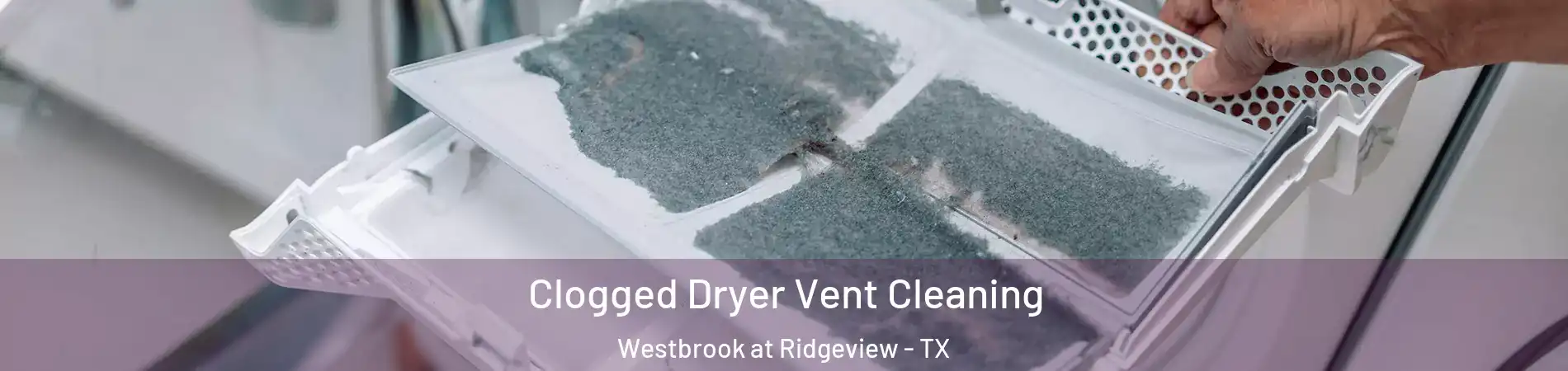 Clogged Dryer Vent Cleaning Westbrook at Ridgeview - TX
