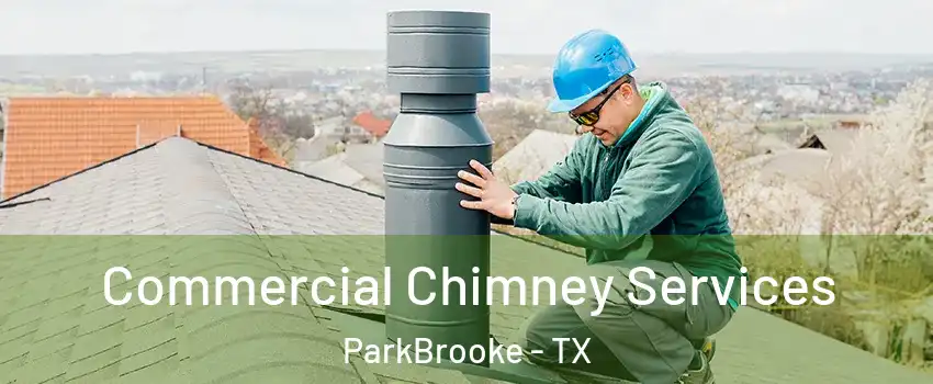 Commercial Chimney Services ParkBrooke - TX