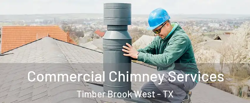 Commercial Chimney Services Timber Brook West - TX
