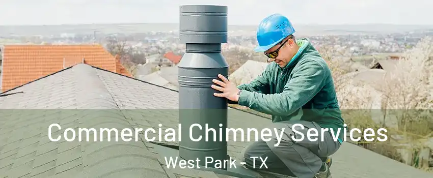 Commercial Chimney Services West Park - TX