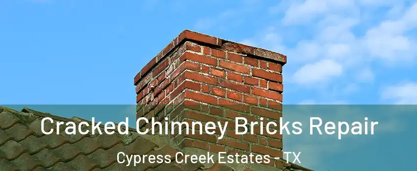 Cracked Chimney Bricks Repair Cypress Creek Estates - TX