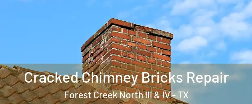 Cracked Chimney Bricks Repair Forest Creek North III & IV - TX