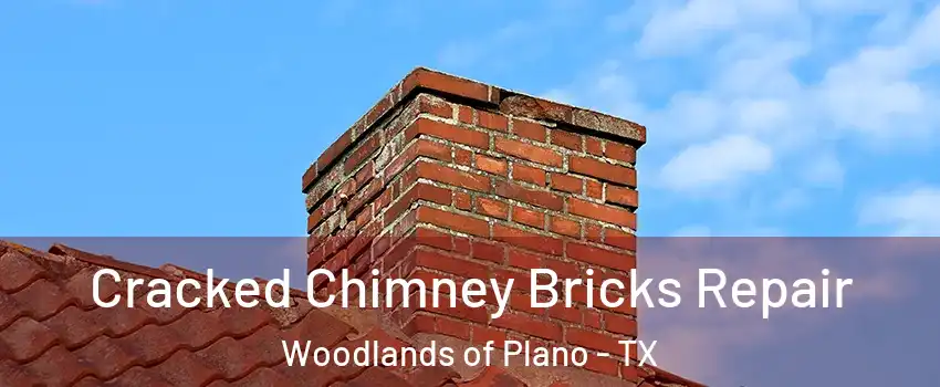 Cracked Chimney Bricks Repair Woodlands of Plano - TX