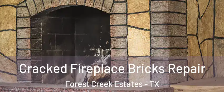 Cracked Fireplace Bricks Repair Forest Creek Estates - TX