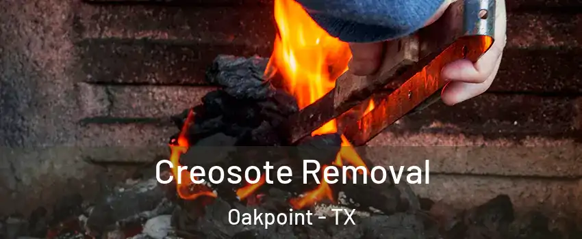 Creosote Removal Oakpoint - TX