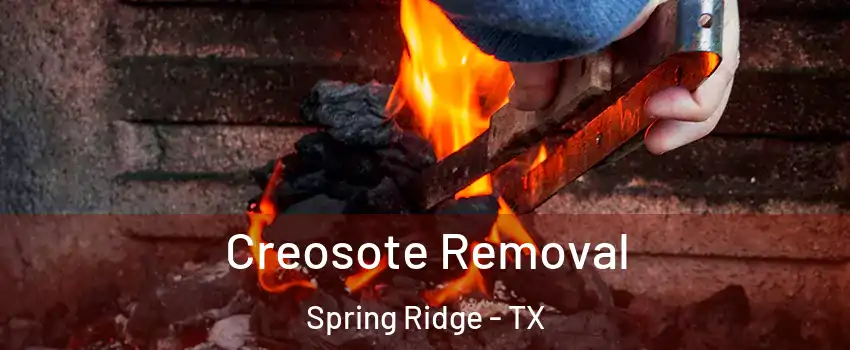 Creosote Removal Spring Ridge - TX