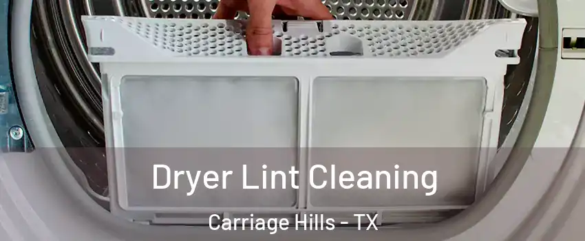 Dryer Lint Cleaning Carriage Hills - TX