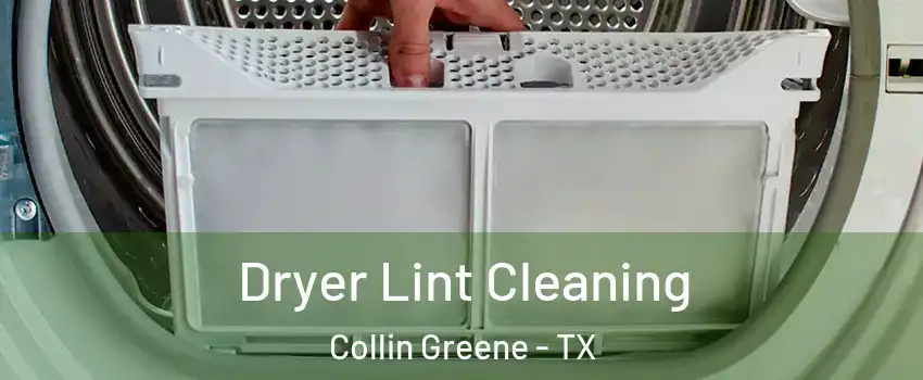 Dryer Lint Cleaning Collin Greene - TX