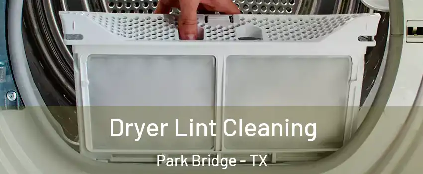 Dryer Lint Cleaning Park Bridge - TX