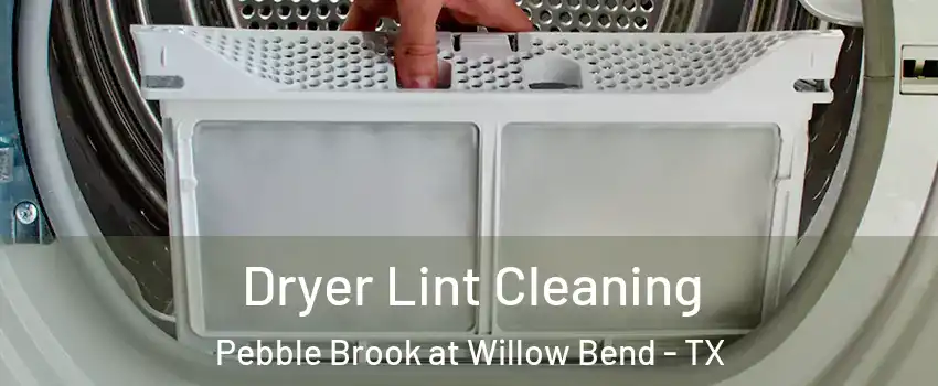 Dryer Lint Cleaning Pebble Brook at Willow Bend - TX
