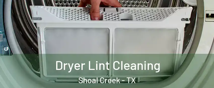 Dryer Lint Cleaning Shoal Creek - TX