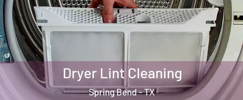 Dryer Lint Cleaning Spring Bend - TX