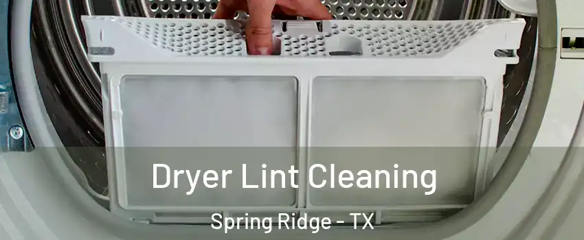 Dryer Lint Cleaning Spring Ridge - TX