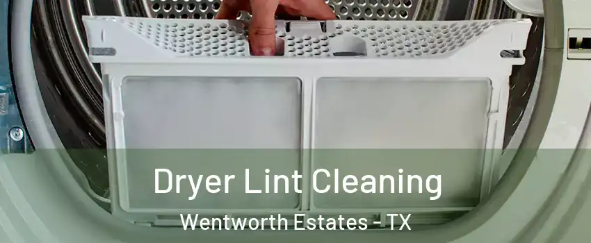 Dryer Lint Cleaning Wentworth Estates - TX