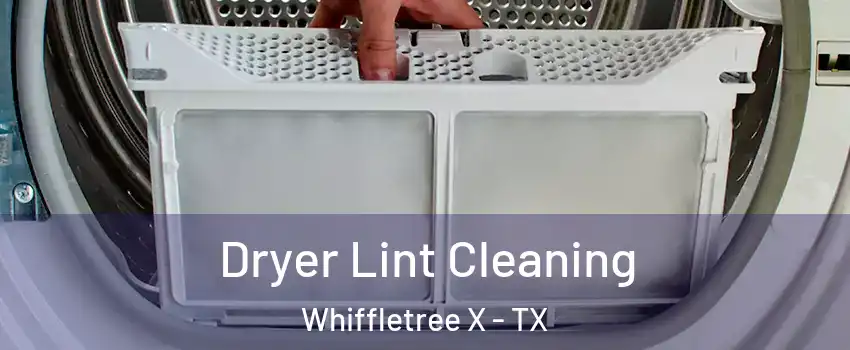 Dryer Lint Cleaning Whiffletree X - TX