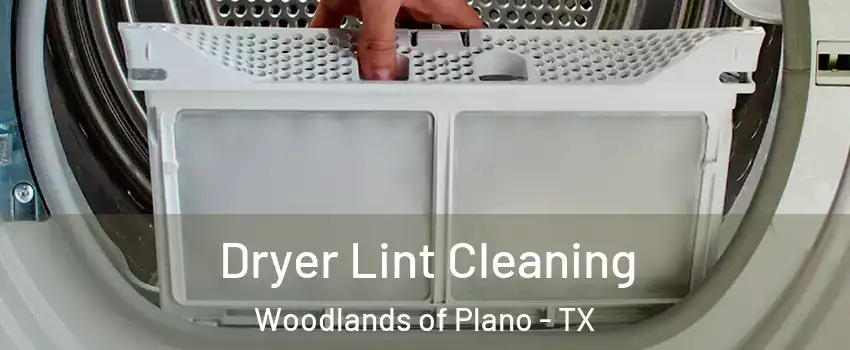Dryer Lint Cleaning Woodlands of Plano - TX
