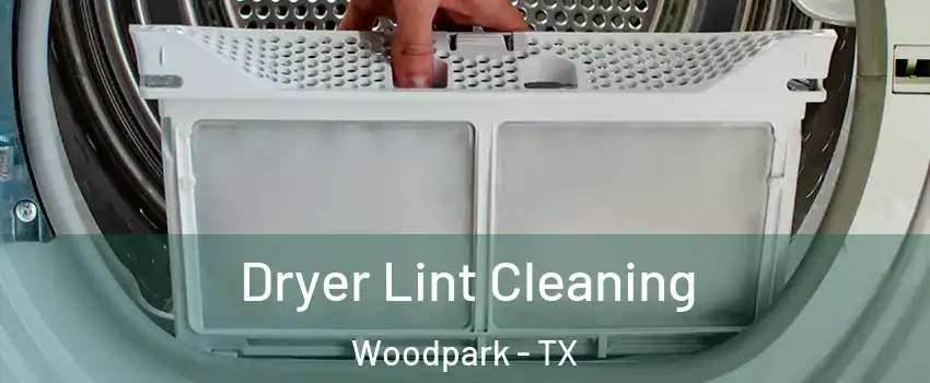 Dryer Lint Cleaning Woodpark - TX