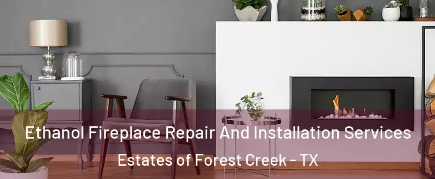 Ethanol Fireplace Repair And Installation Services Estates of Forest Creek - TX