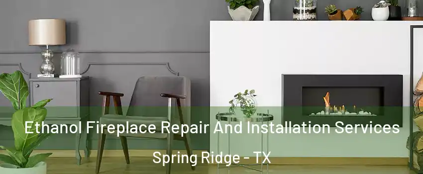 Ethanol Fireplace Repair And Installation Services Spring Ridge - TX