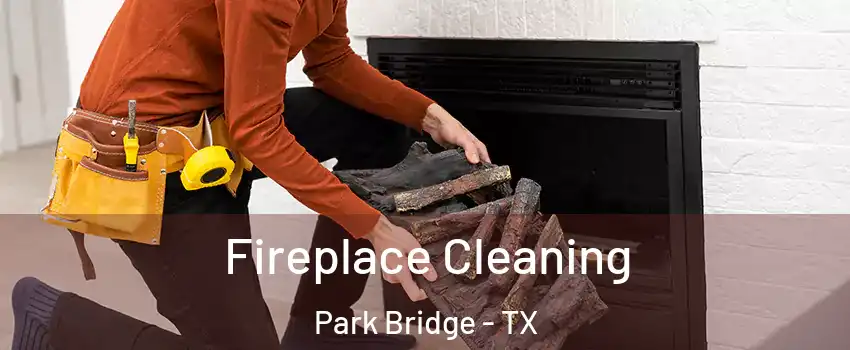 Fireplace Cleaning Park Bridge - TX