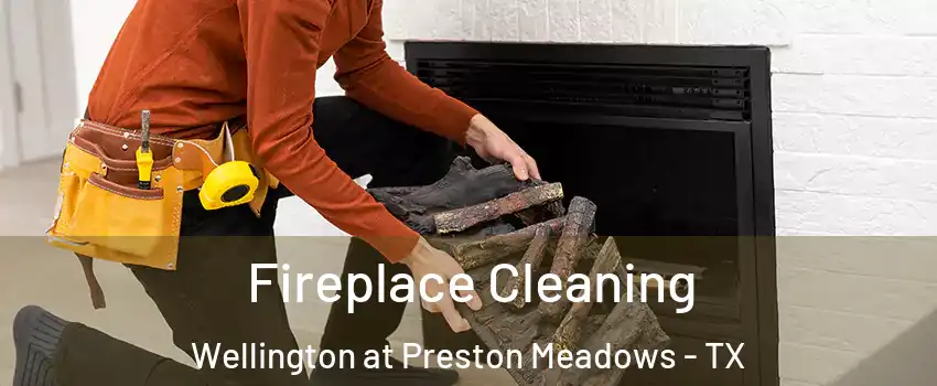 Fireplace Cleaning Wellington at Preston Meadows - TX