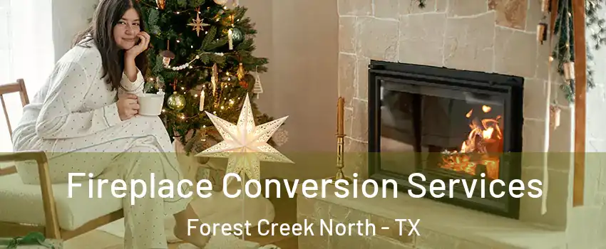 Fireplace Conversion Services Forest Creek North - TX