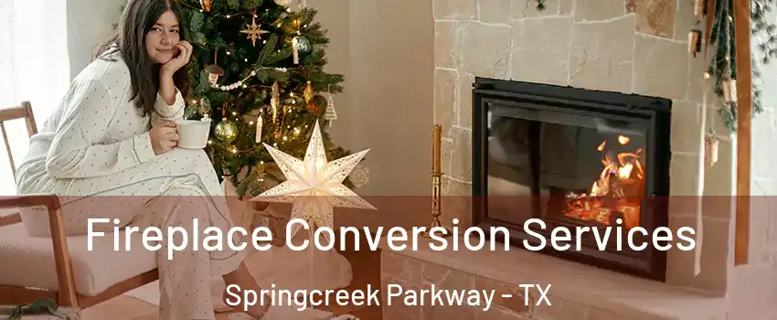 Fireplace Conversion Services Springcreek Parkway - TX