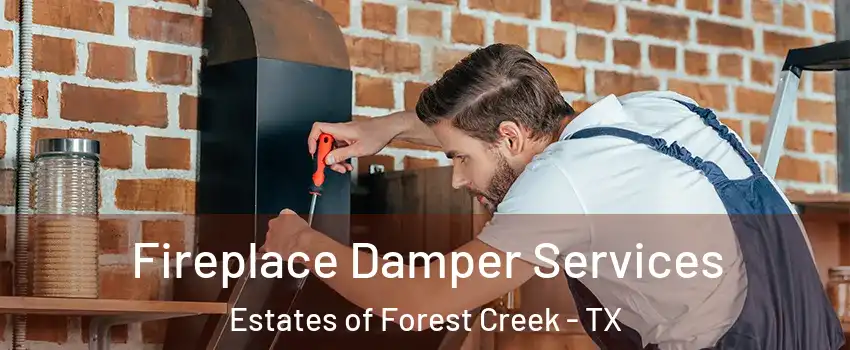 Fireplace Damper Services Estates of Forest Creek - TX