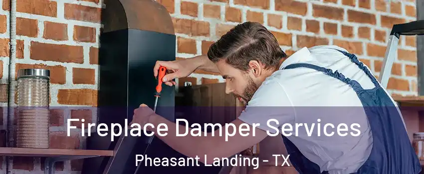 Fireplace Damper Services Pheasant Landing - TX