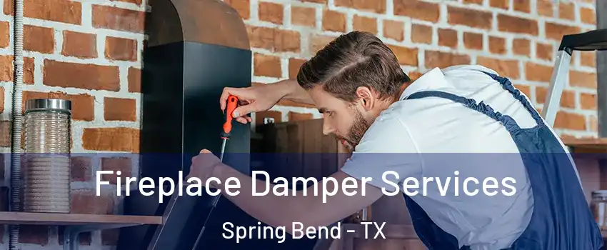 Fireplace Damper Services Spring Bend - TX