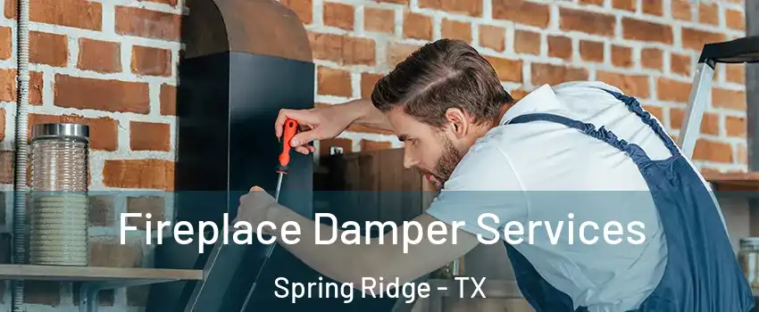 Fireplace Damper Services Spring Ridge - TX