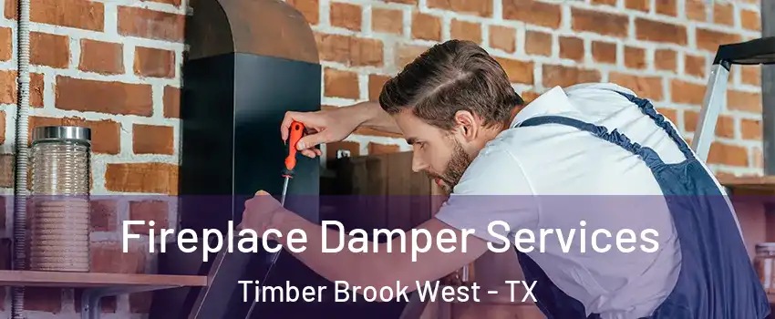 Fireplace Damper Services Timber Brook West - TX