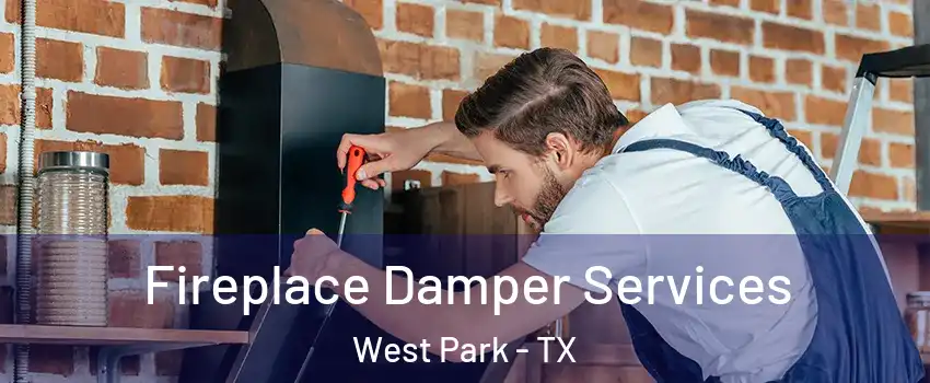 Fireplace Damper Services West Park - TX