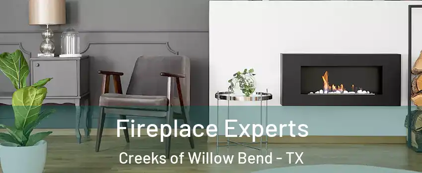Fireplace Experts Creeks of Willow Bend - TX