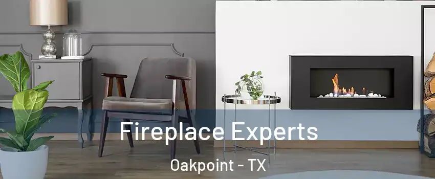Fireplace Experts Oakpoint - TX
