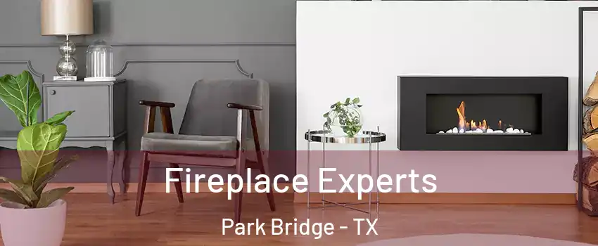 Fireplace Experts Park Bridge - TX
