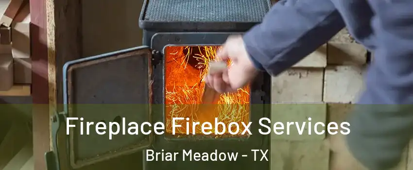 Fireplace Firebox Services Briar Meadow - TX