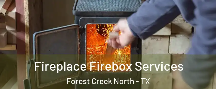 Fireplace Firebox Services Forest Creek North - TX