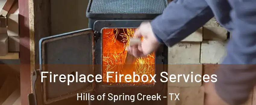 Fireplace Firebox Services Hills of Spring Creek - TX
