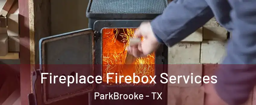 Fireplace Firebox Services ParkBrooke - TX