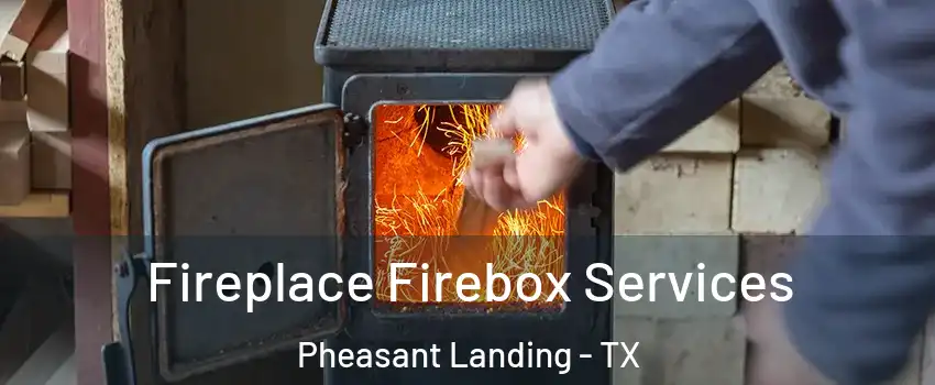 Fireplace Firebox Services Pheasant Landing - TX