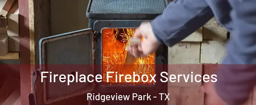 Fireplace Firebox Services Ridgeview Park - TX