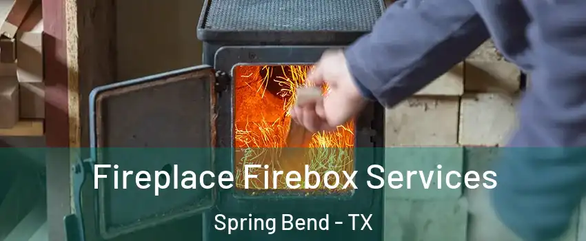 Fireplace Firebox Services Spring Bend - TX